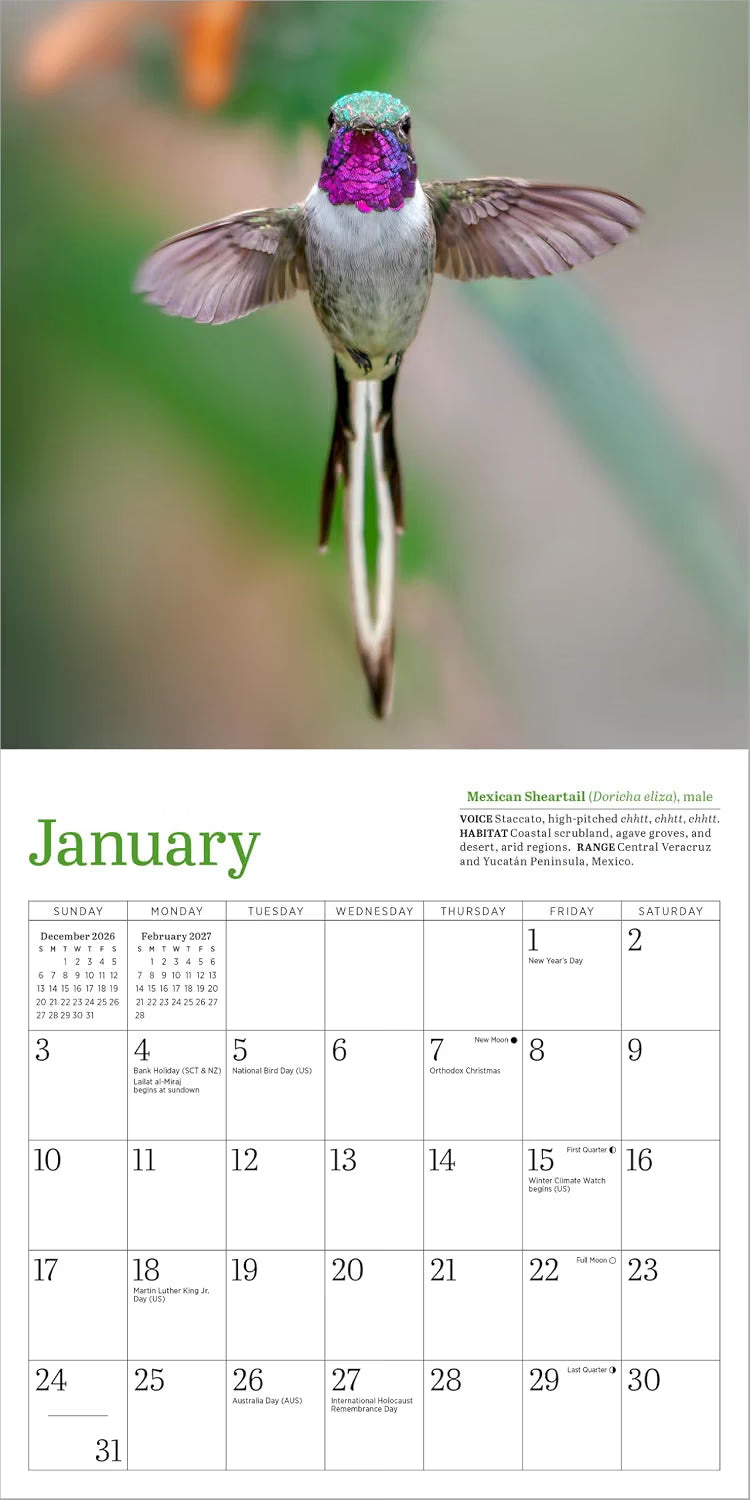 Audubon Hummingbirds Mini Wall Calendar 2027