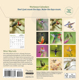 Audubon Hummingbirds Mini Wall Calendar 2027