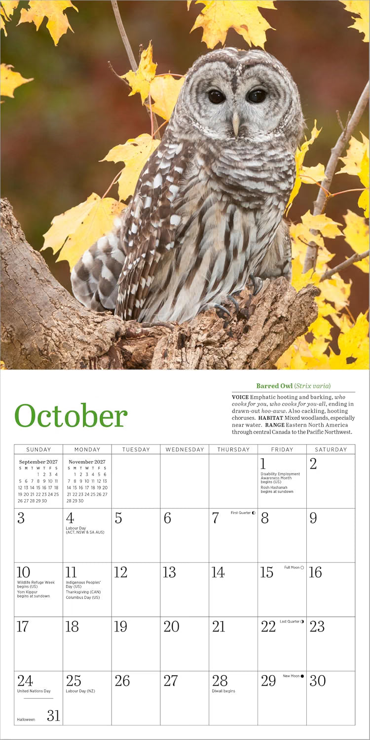 Audubon Little Owls Mini Wall Calendar 2027