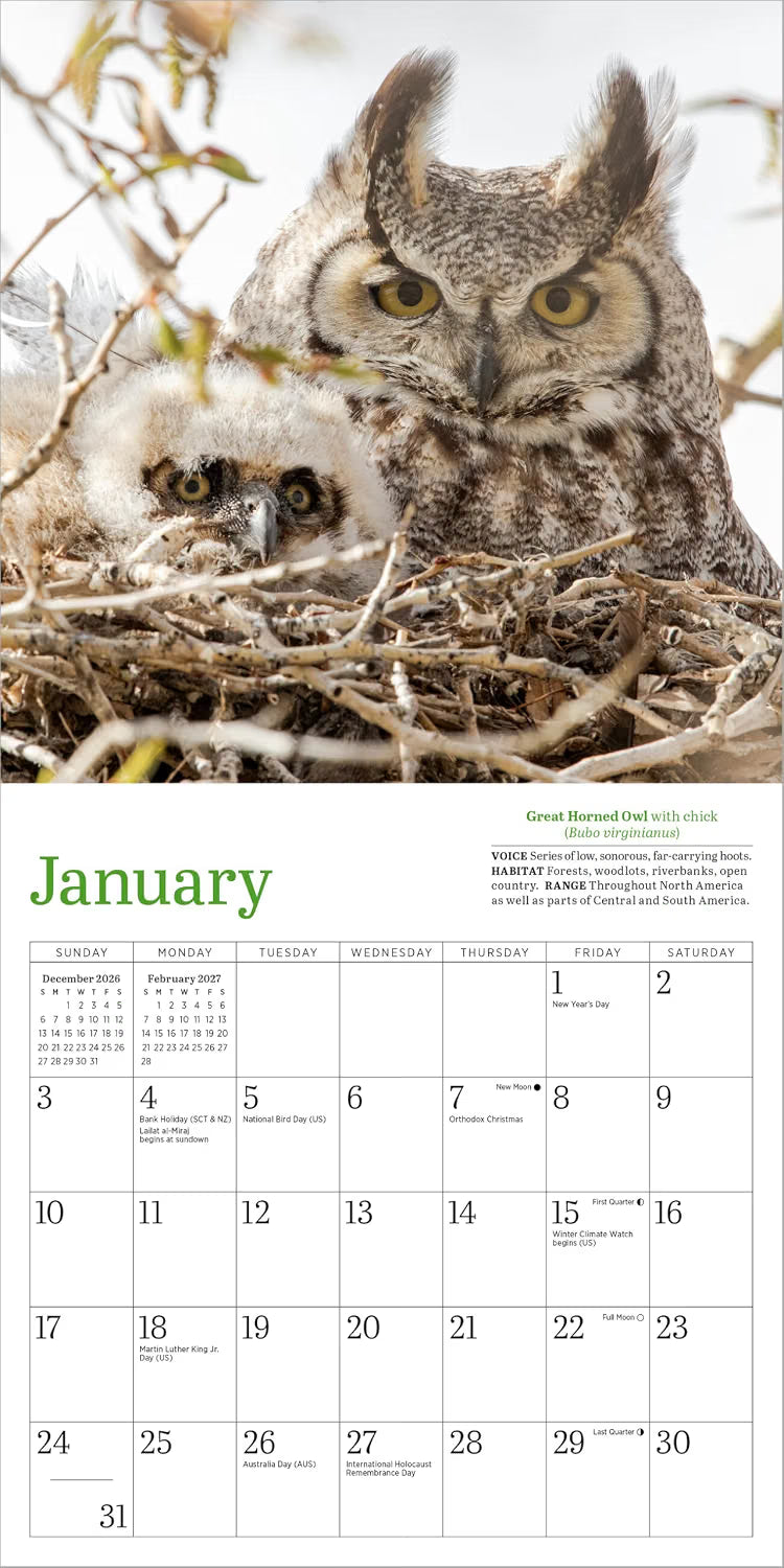 Audubon Little Owls Mini Wall Calendar 2027