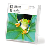Audubon Nature Page-A-Day Gallery Calendar 2026