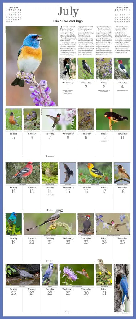 Audubon Songbirds And Other Backyard Birds Picture-A-Day Wall Calendar 2026