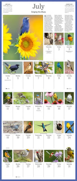 Audubon Songbirds and Other Backyard Birds Picture-A-Day Wall Calendar 2027
