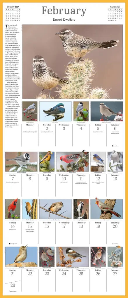 Audubon Songbirds and Other Backyard Birds Picture-A-Day Wall Calendar 2027