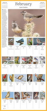 Audubon Songbirds and Other Backyard Birds Picture-A-Day Wall Calendar 2027