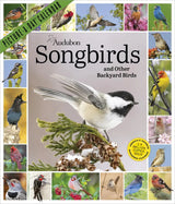 Audubon Songbirds and Other Backyard Birds Picture-A-Day Wall Calendar 2027