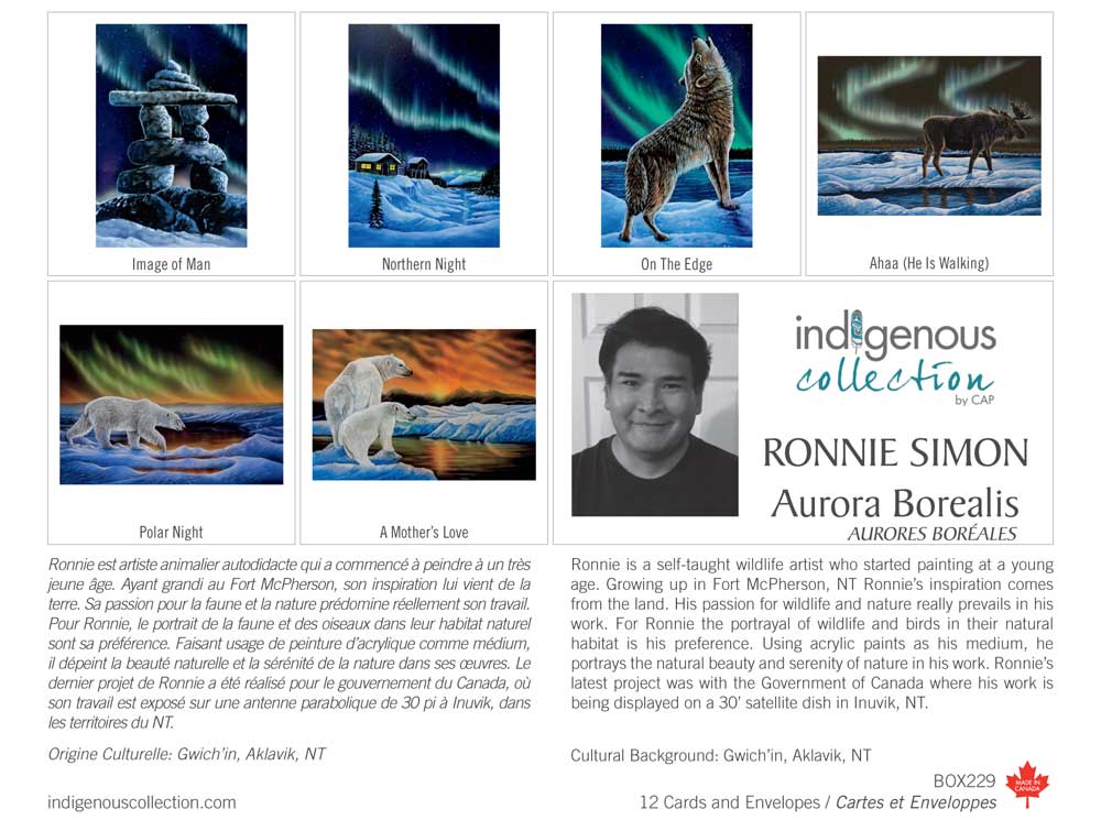 Aurora Borealis Boxed Note Cards, Ronnie Simon