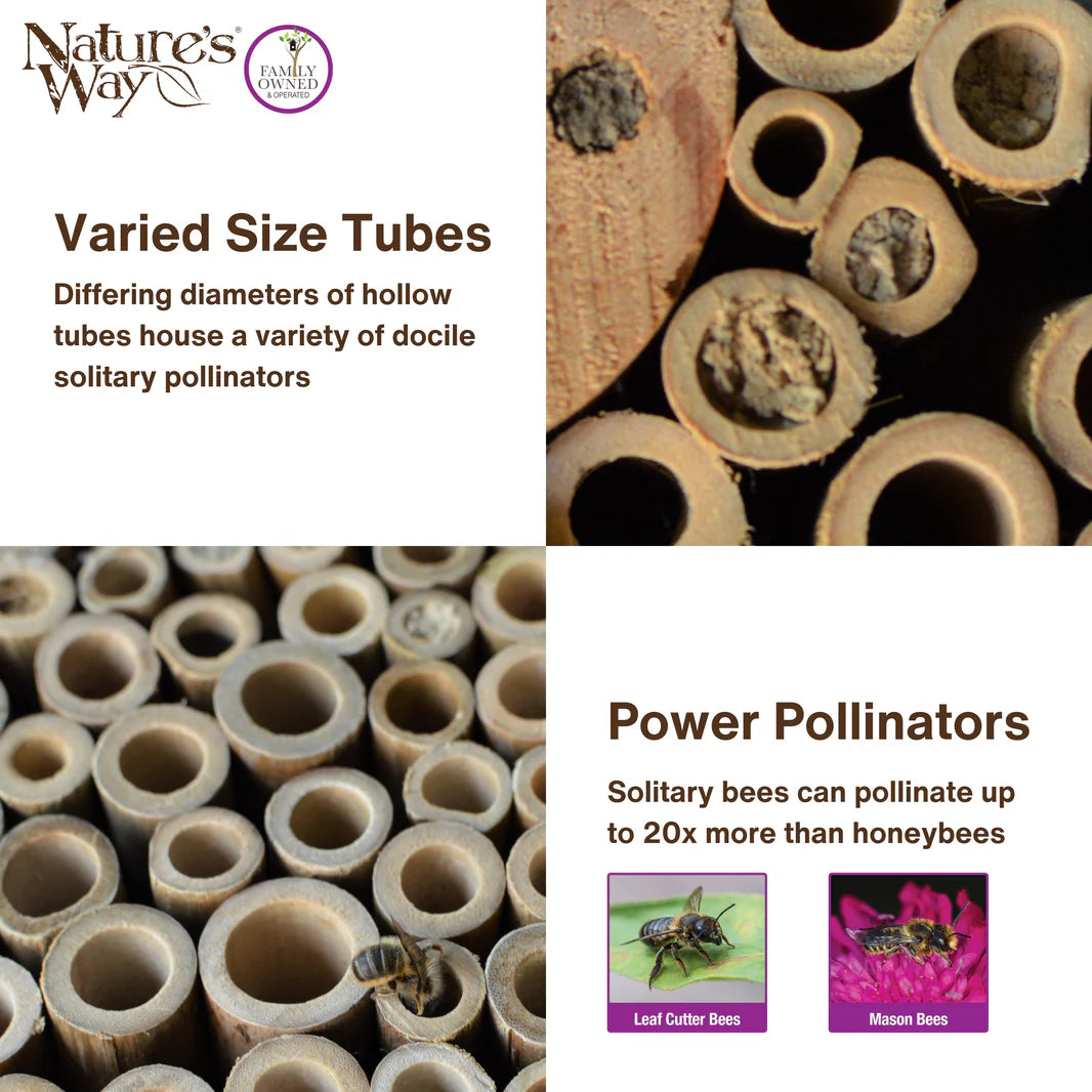 Better Gardens Pollinator House, Purple