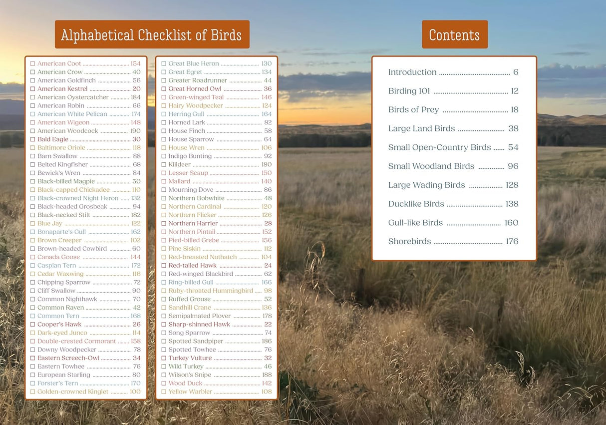 Bird Watchers' Field Guide Sticker & Logbook