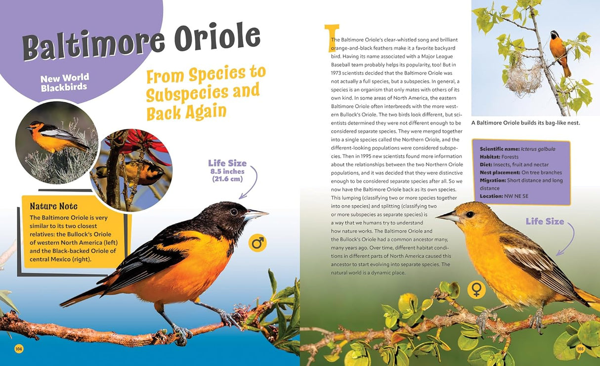 Birds Life Size, Up Close and Personal with 47 Bird Species