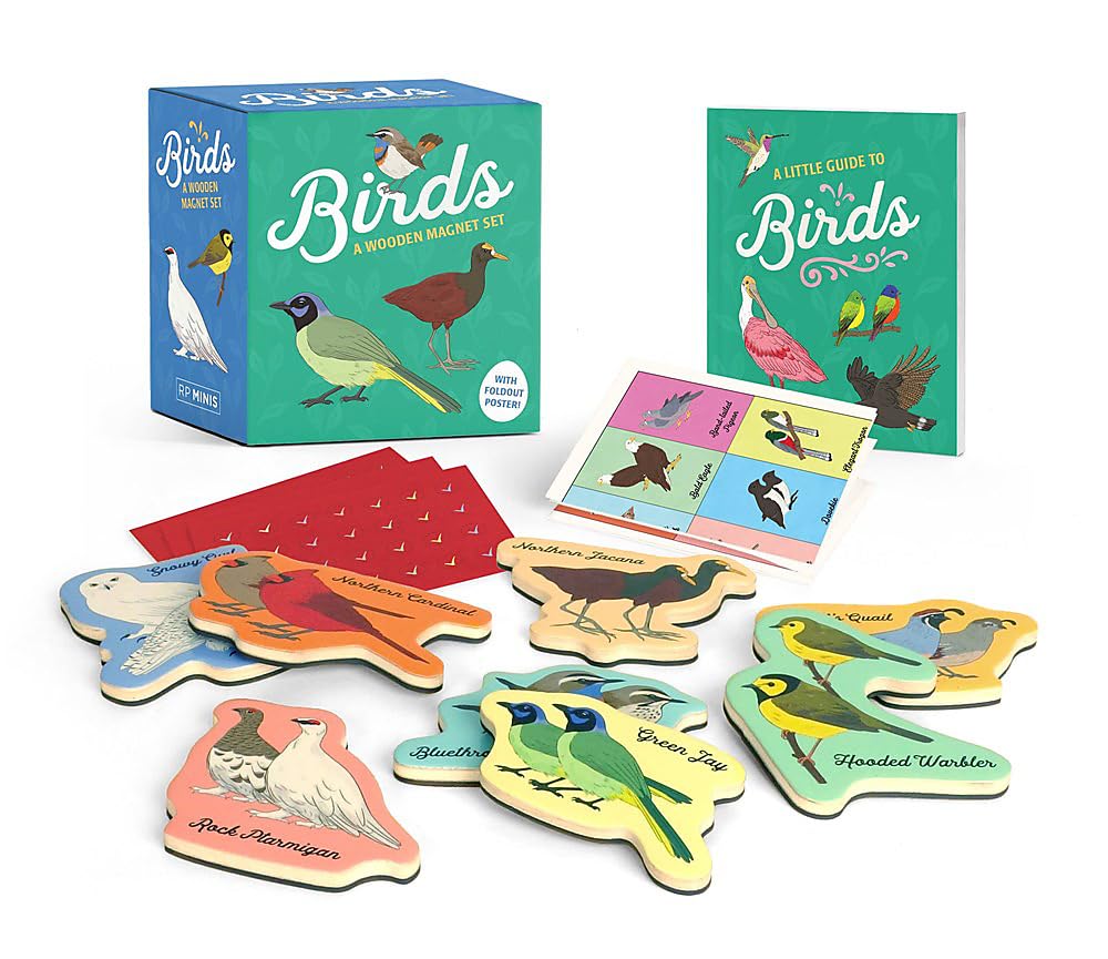 Buy Birds, Wooden Magnet Set Online in Canada - Urban Nature Store