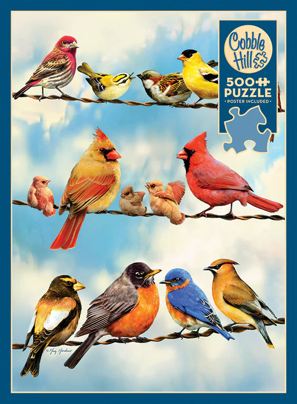 Birds on a Wire 500pc Puzzle – Urban Nature Store
