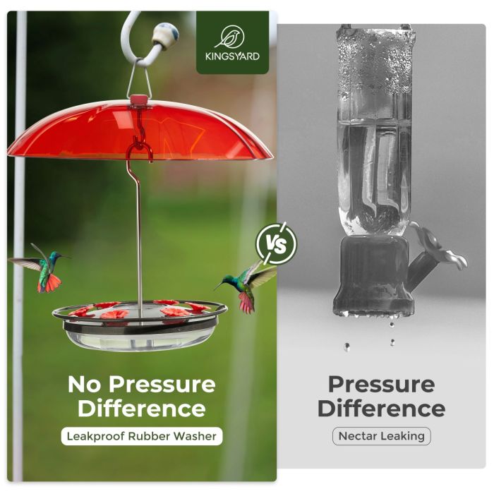 Black Hummingbird Tray Feeder with Red Weatherproof Dome & Ant Moat