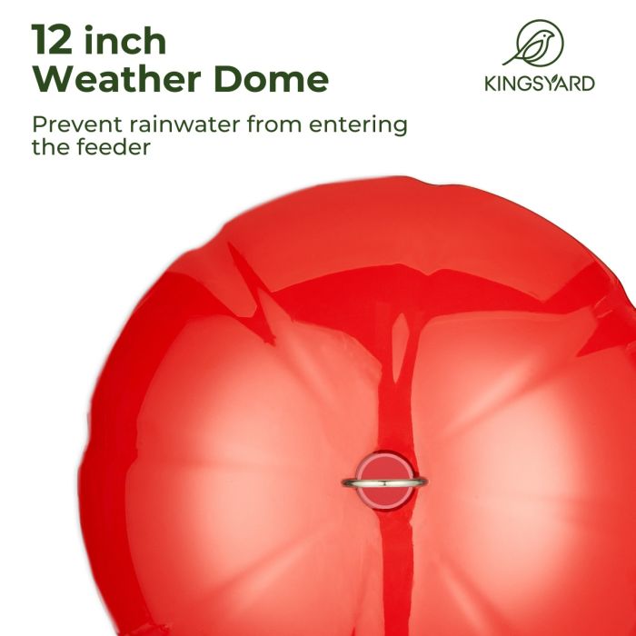 Black Hummingbird Tray Feeder with Red Weatherproof Dome & Ant Moat