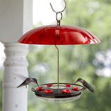 Black Hummingbird Tray Feeder with Red Weatherproof Dome & Ant Moat