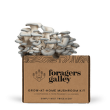 Blue Oyster Grow At Home Mushroom Growing Kit