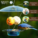 Bluebird Buffet Metal and Glass Bird Feeder with Protective Baffle