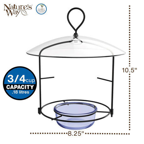 Bluebird Buffet Metal and Glass Bird Feeder with Protective Baffle