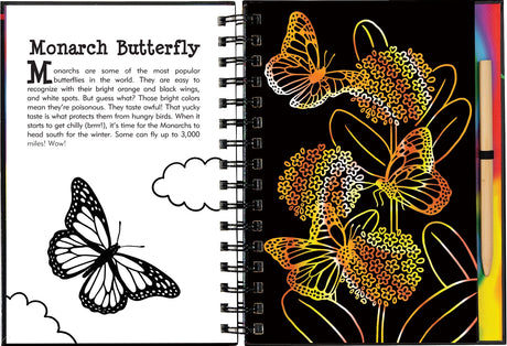 Butterflies and Friends Scratch and Sketch