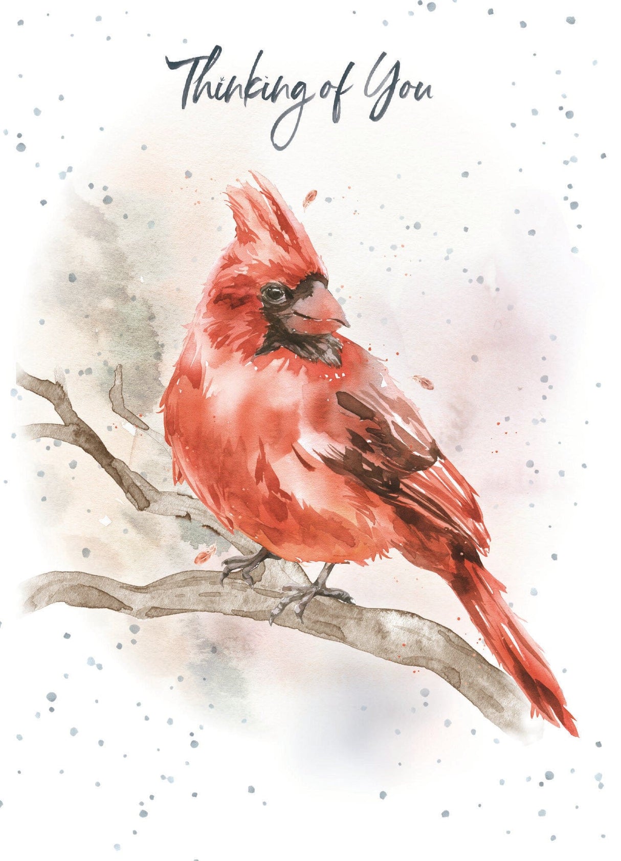 Cardinal Thinking of You Sympathy Card