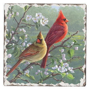 Cardinals #1 Single Absorbent Stone Tumbled Tile Coaster