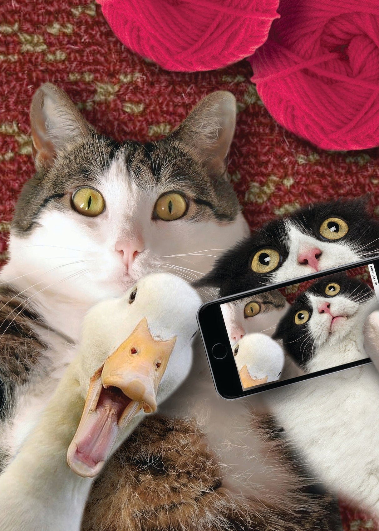 Cat & Duck Selfie Birthday Card