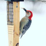Cedar Tail-Prop Suet Feeder