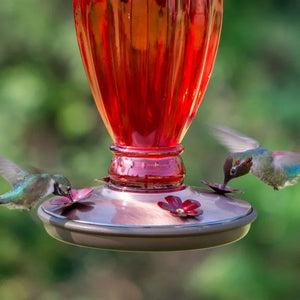 Daisy Vase Vintage Glass Hummingbird Feeder
