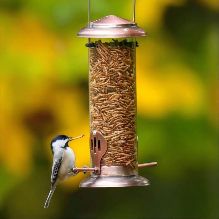 Extra Sturdy Tube Bluebird Mealworm Feeder, Antique Copper