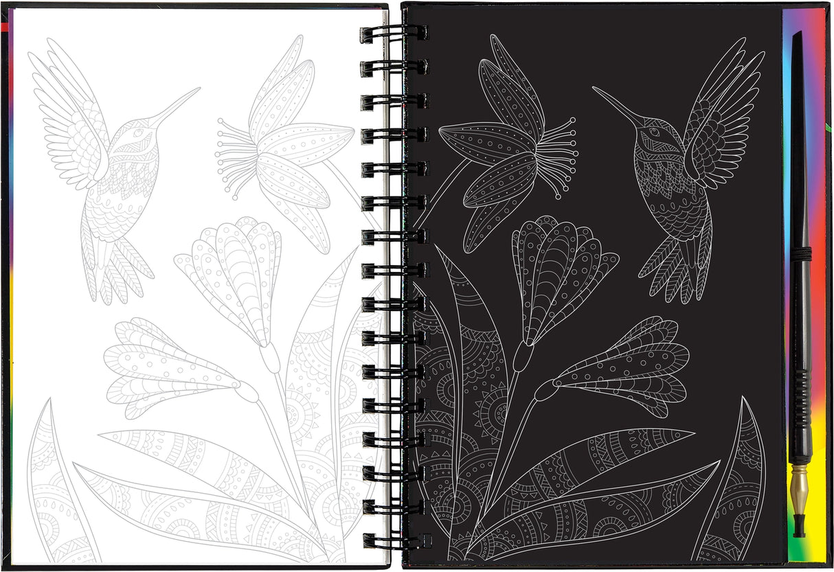 Extreme! the World of Birds Scratch and Sketch