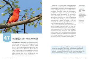 Find More Birds, 111 Surprising Ways to Spot Birds Wherever You Are
