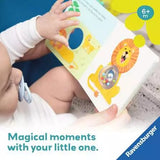 First Animals, Ready, Steady, Shake