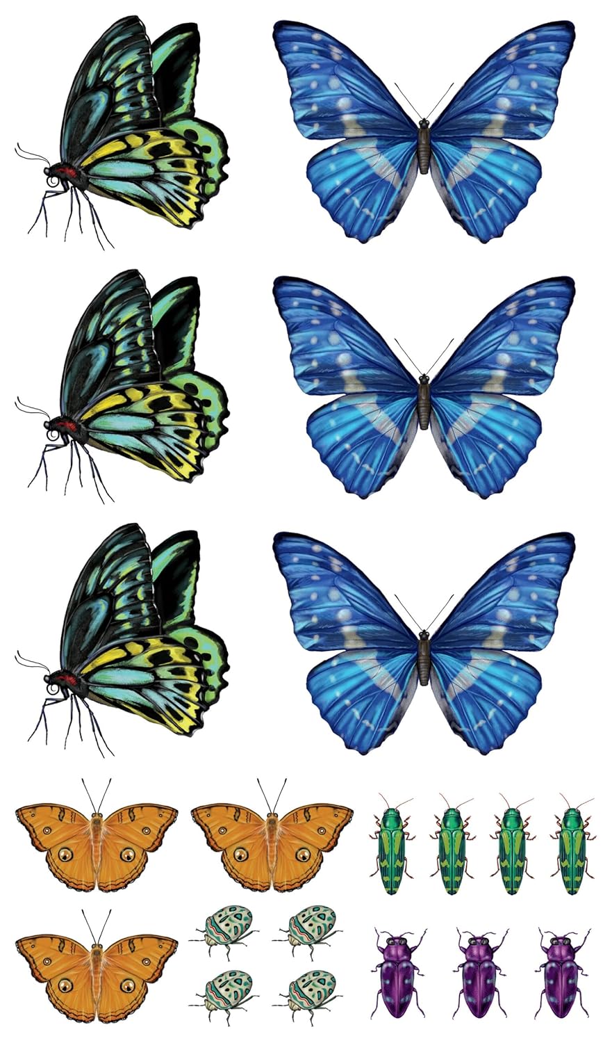 Buy Fluttery, Friendly Tattoo Butterflies and Other Insects Online