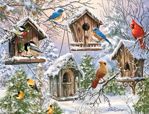 Four Bird Houses In Winter Christmas Boxed Notelets