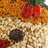 Frosty Snowman With Hanger and Net