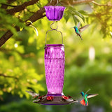 Glass Hummingbird Feeder with Ant Moat, Purple, 24oz
