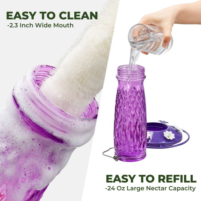 Glass Hummingbird Feeder with Ant Moat, Purple, 24oz
