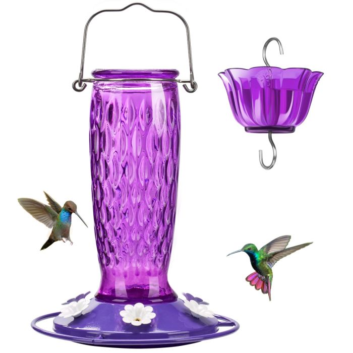 Glass Hummingbird Feeder with Ant Moat, Purple, 24oz