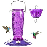 Glass Hummingbird Feeder with Ant Moat, Purple, 24oz