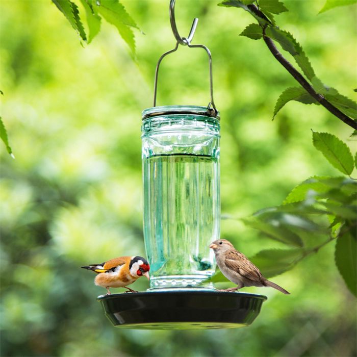 Glass Waterer Bird Feeder, Green