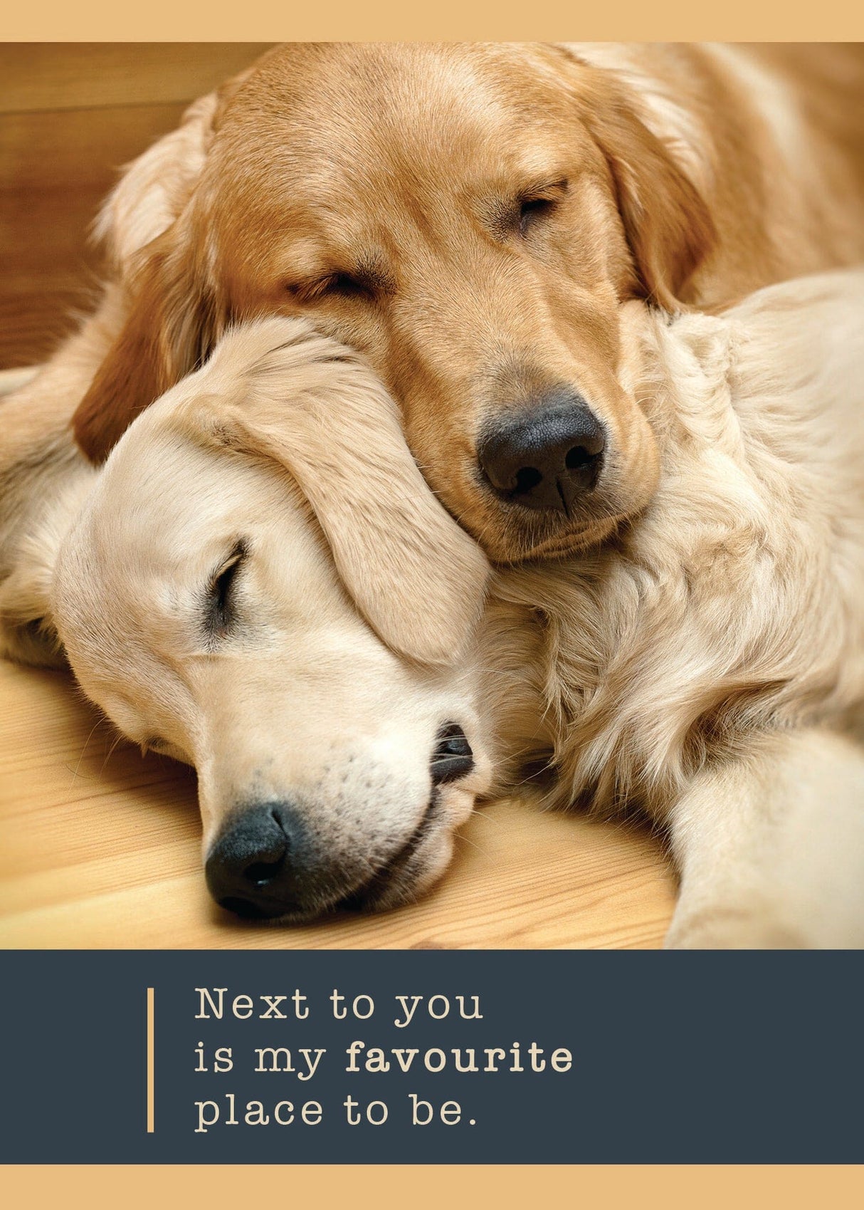 Golden Dogs Anniversary Card