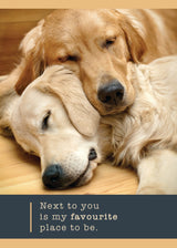 Golden Dogs Anniversary Card