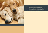 Golden Dogs Anniversary Card
