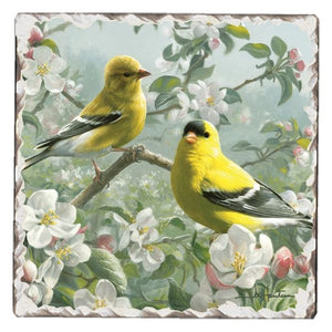 Goldfinches #1 Single Absorbent Stone Tumbled Tile Coaster