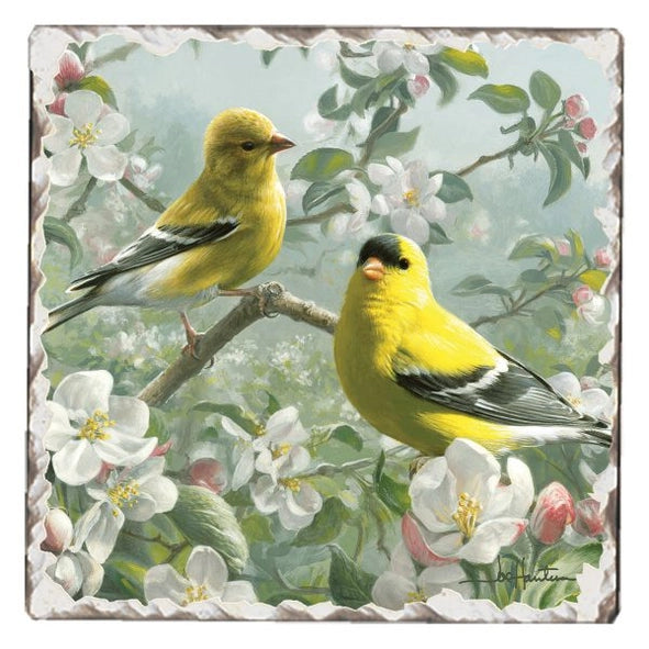 Goldfinches #1 Single Absorbent Stone Tumbled Tile Coaster
