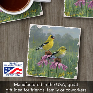Goldfinches #2 Single Absorbent Stone Tumbled Tile Coaster
