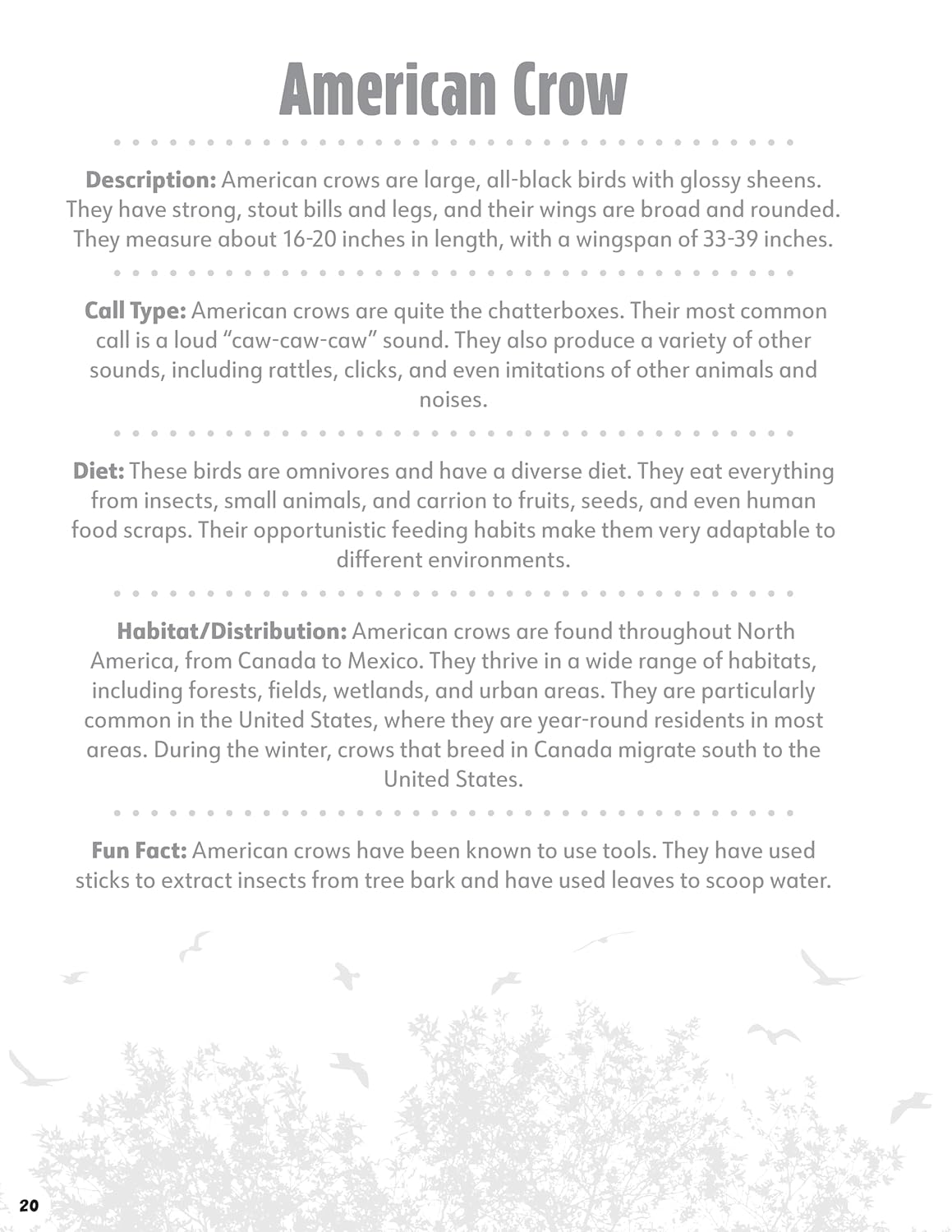 Great Coloring Book of North American Birds