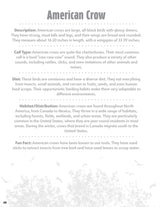 Great Coloring Book of North American Birds