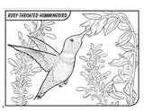 Great Coloring Book of North American Birds