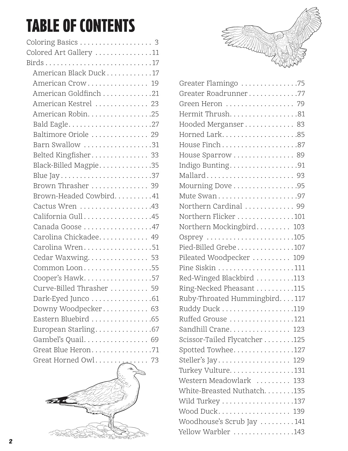 Great Coloring Book of North American Birds